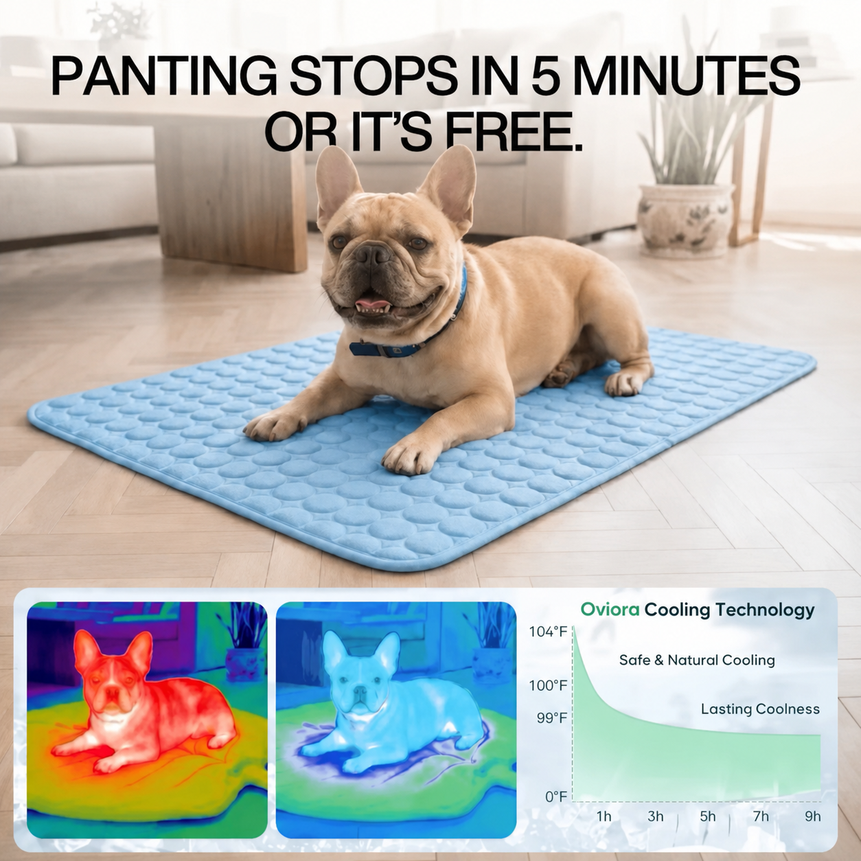 ChillMat™ – Washable Cooling Bed for Pets